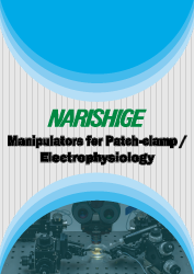 Patch-clamp / Perfusion System