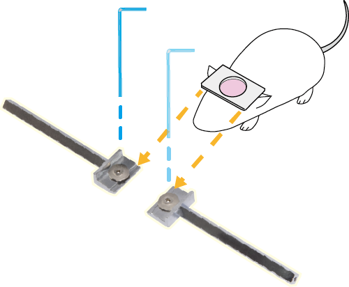 覚醒マウスの頭部固定・観察・記録実験に！