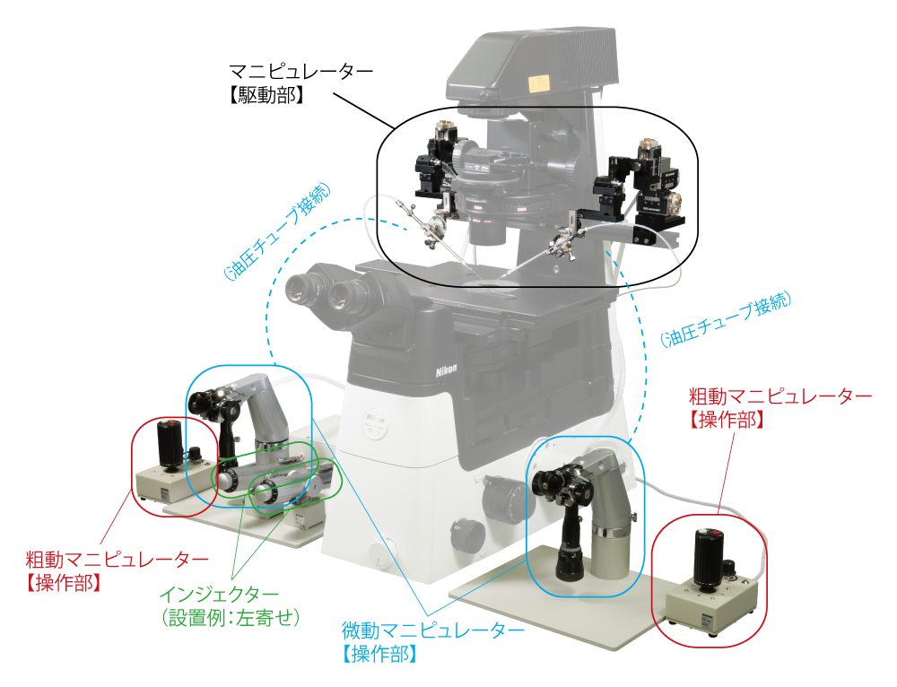 倒立顕微鏡向け 例