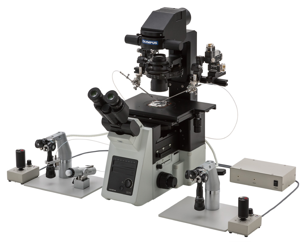 倒立顕微鏡向け Cell-transferセット