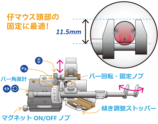 特注例 1: 新生仔マウス固定装置